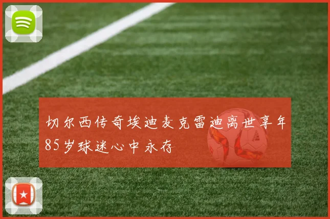 切尔西传奇埃迪麦克雷迪离世享年85岁球迷心中永存